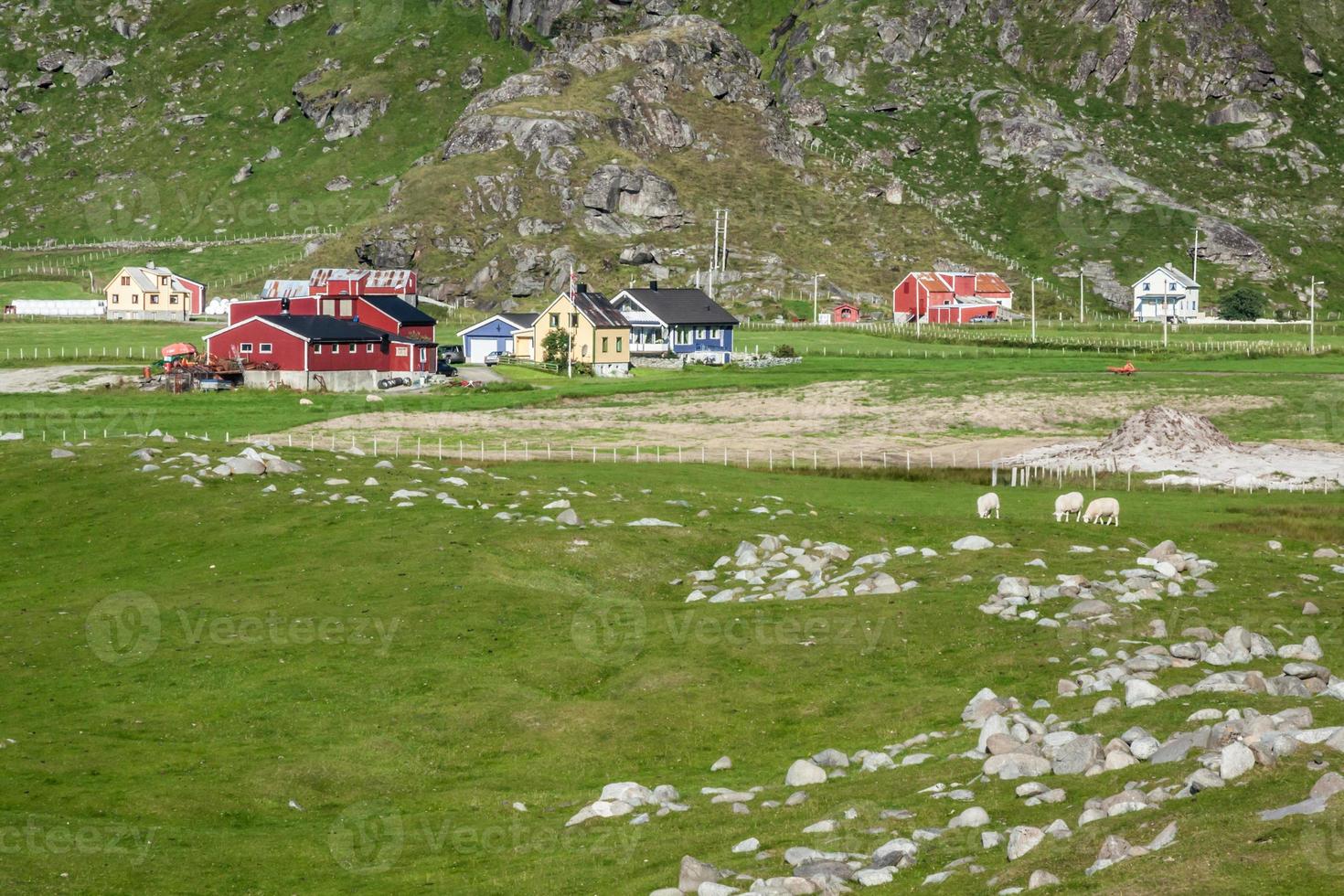 traditionele noorse kleurrijke huizen, lofoten-eilanden, noorwegen foto