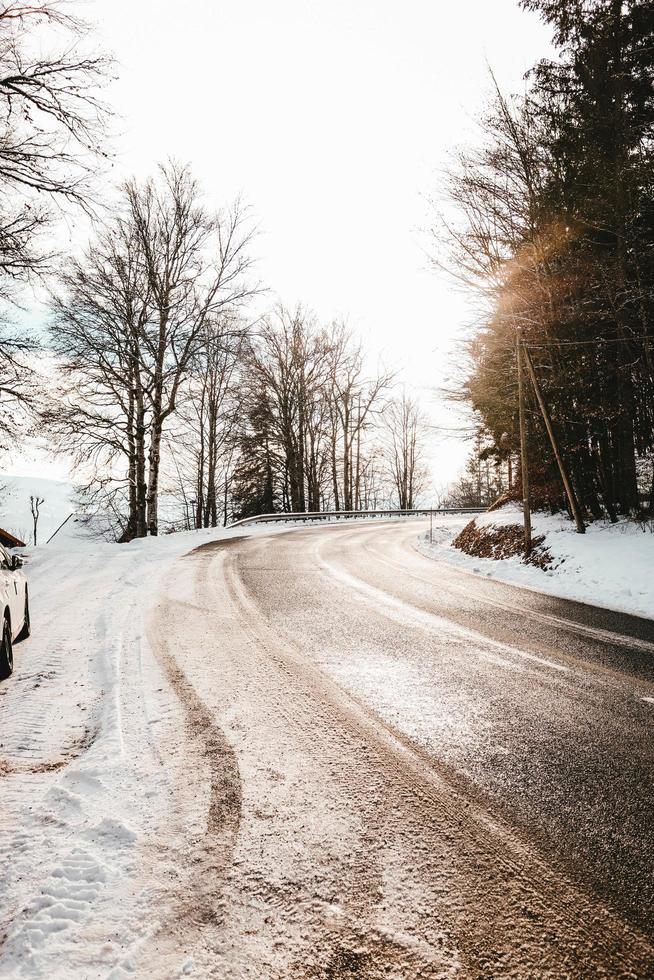 besneeuwde weg en bomen foto