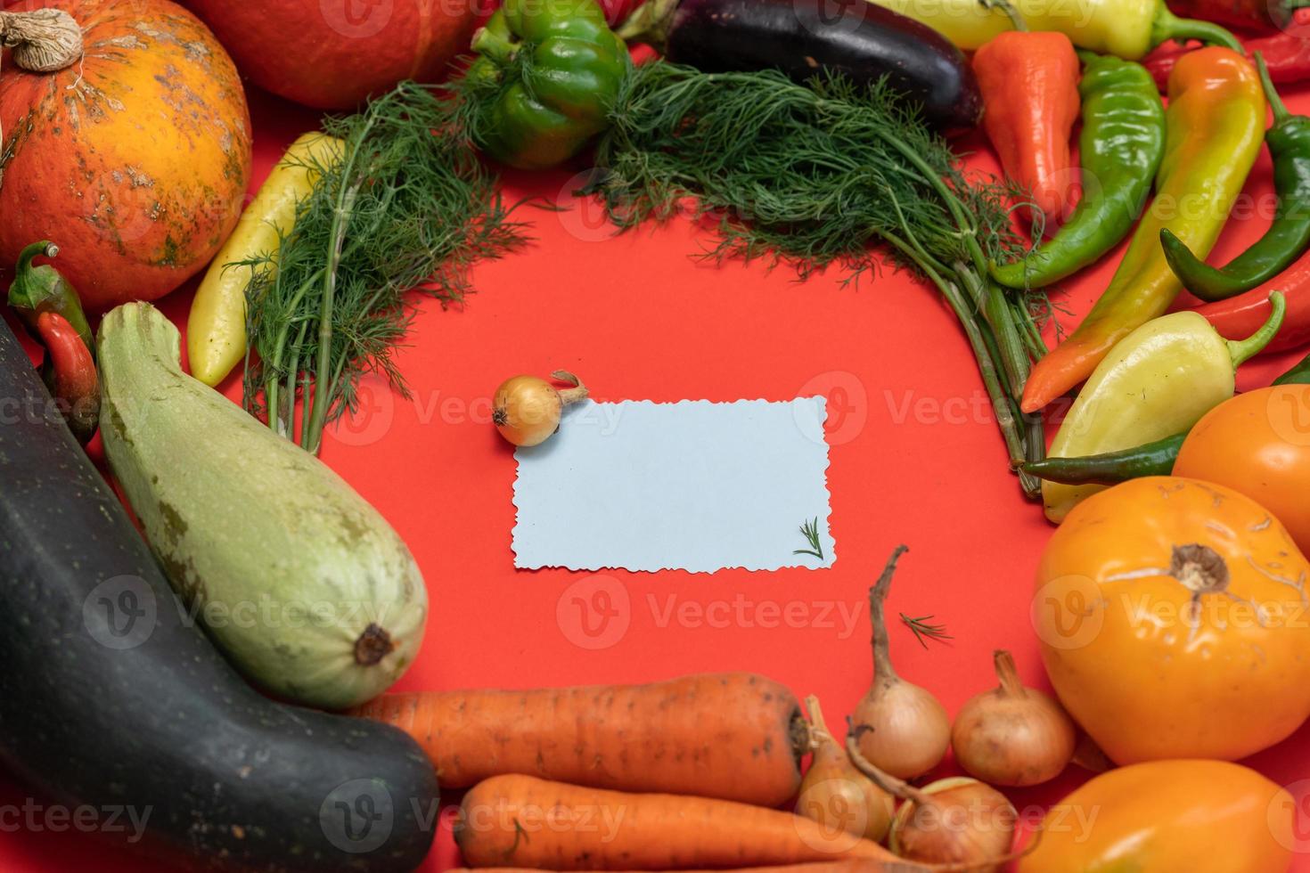 groenten zijn gelegd uit in de omgeving van een vel van papier en een potlood. leeg ruimte voor tekst. groenten, leeg blanco voor recept Aan een rood achtergrond. foto