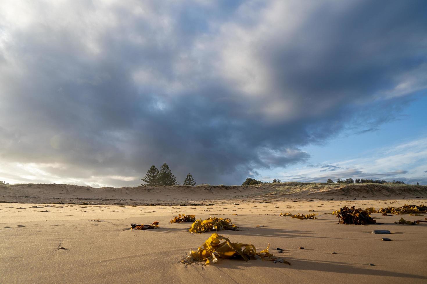 bewolkte dag op het strand foto