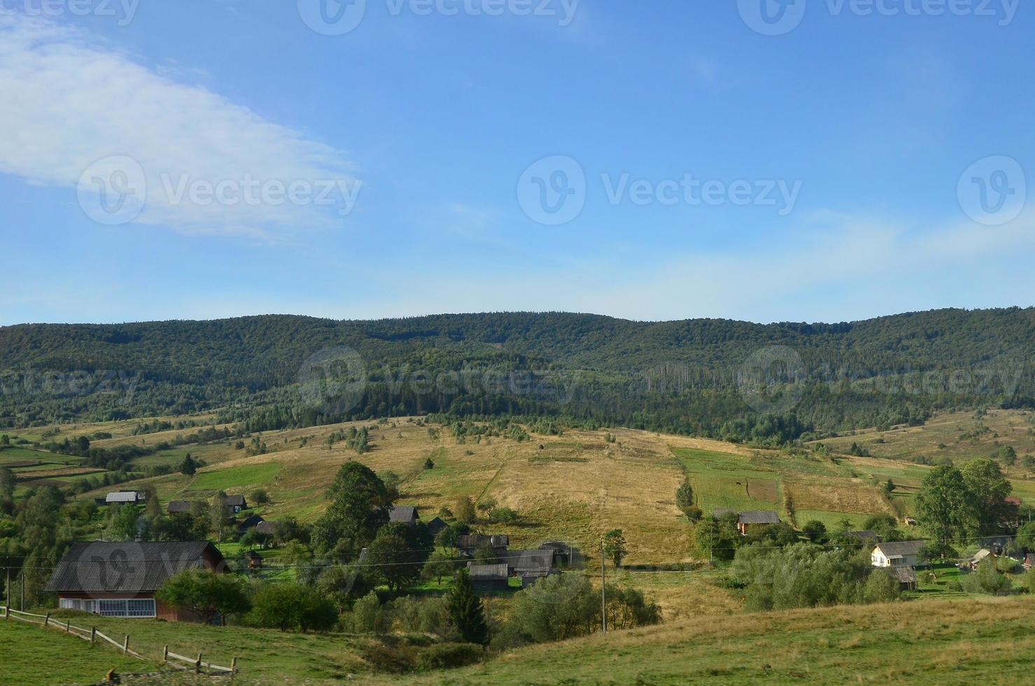 foto van de Karpaten bergen, welke hebben een veel van naald- bomen. Woud en berg landschap in de vroeg herfst seizoen