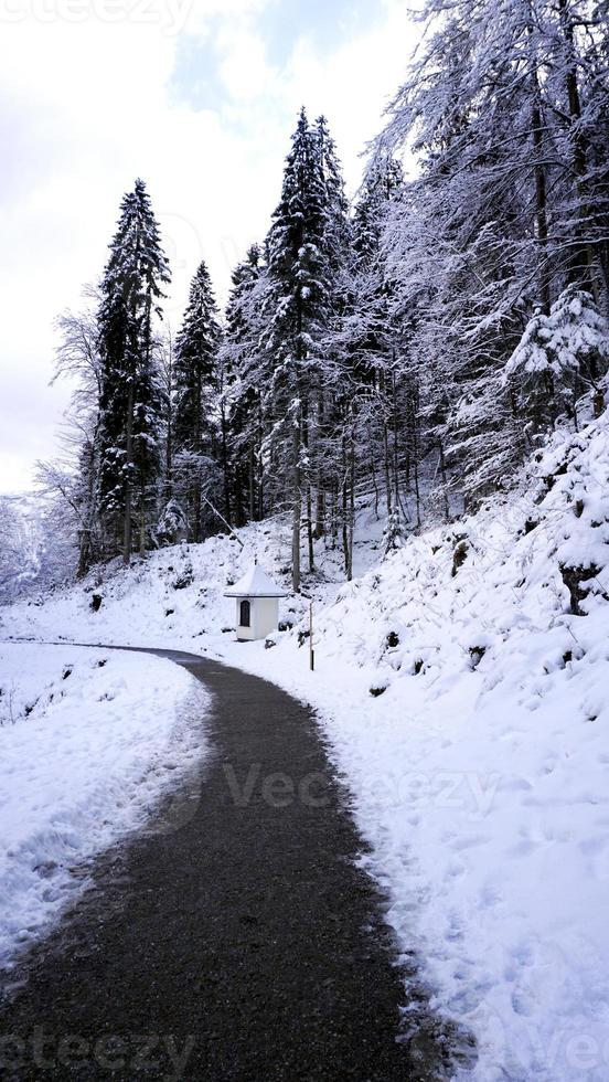 loopbrug wandelen episch berg buitenshuis avontuur voorbij gaan aan de pijnboom Woud en winter sneeuw berg foto
