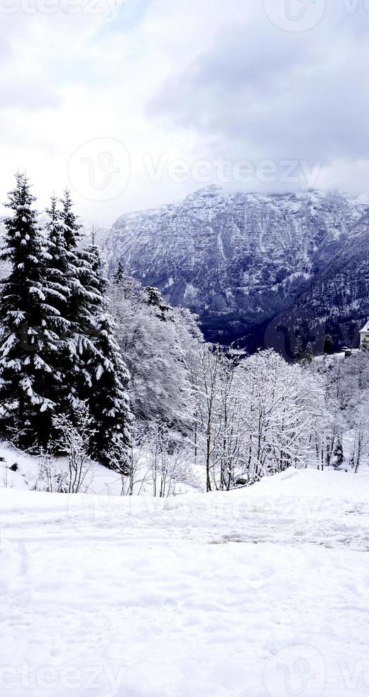 hallstatt winter sneeuw berg landschap en de pijnboom Woud verticaal in hoogland vallei Leidt naar de oud zout de mijne van hallstatt, Oostenrijk foto