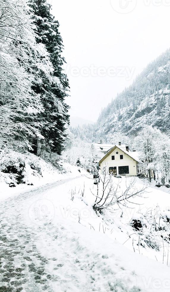 loopbrug wandelen episch berg buitenshuis avontuur naar bestemming de oud zout de mijne van hallstatt voorbij gaan aan de pijnboom Woud en winter sneeuw berg landschap buitenshuis avontuur, Oostenrijk foto