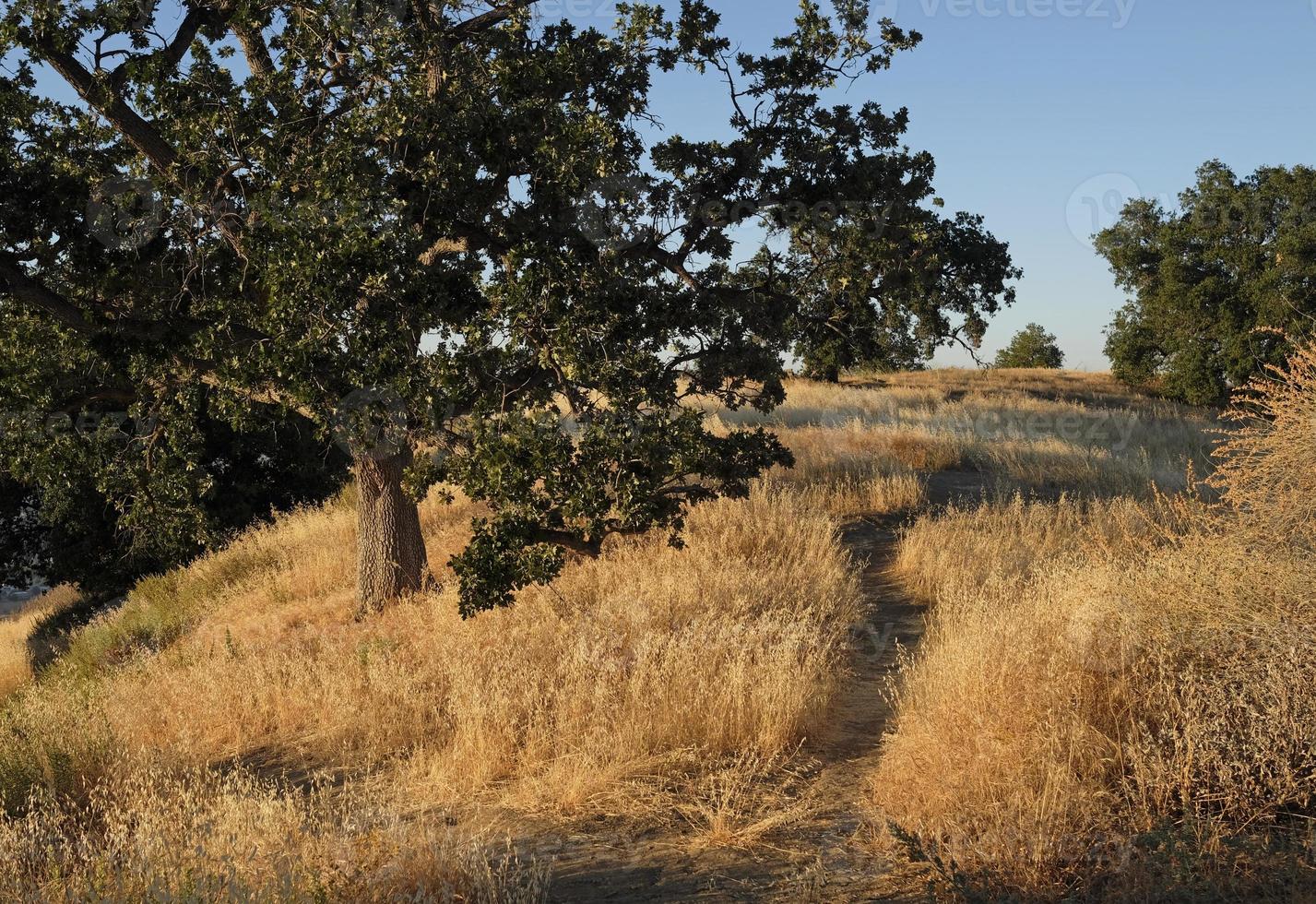 Californië, Ravijn, schemering, ed Davis park, hiking, landschap, berg, berg bereik, bergen, natuur, buitenshuis, landschap, toneel, reis, Verenigde Staten van Amerika, visie foto