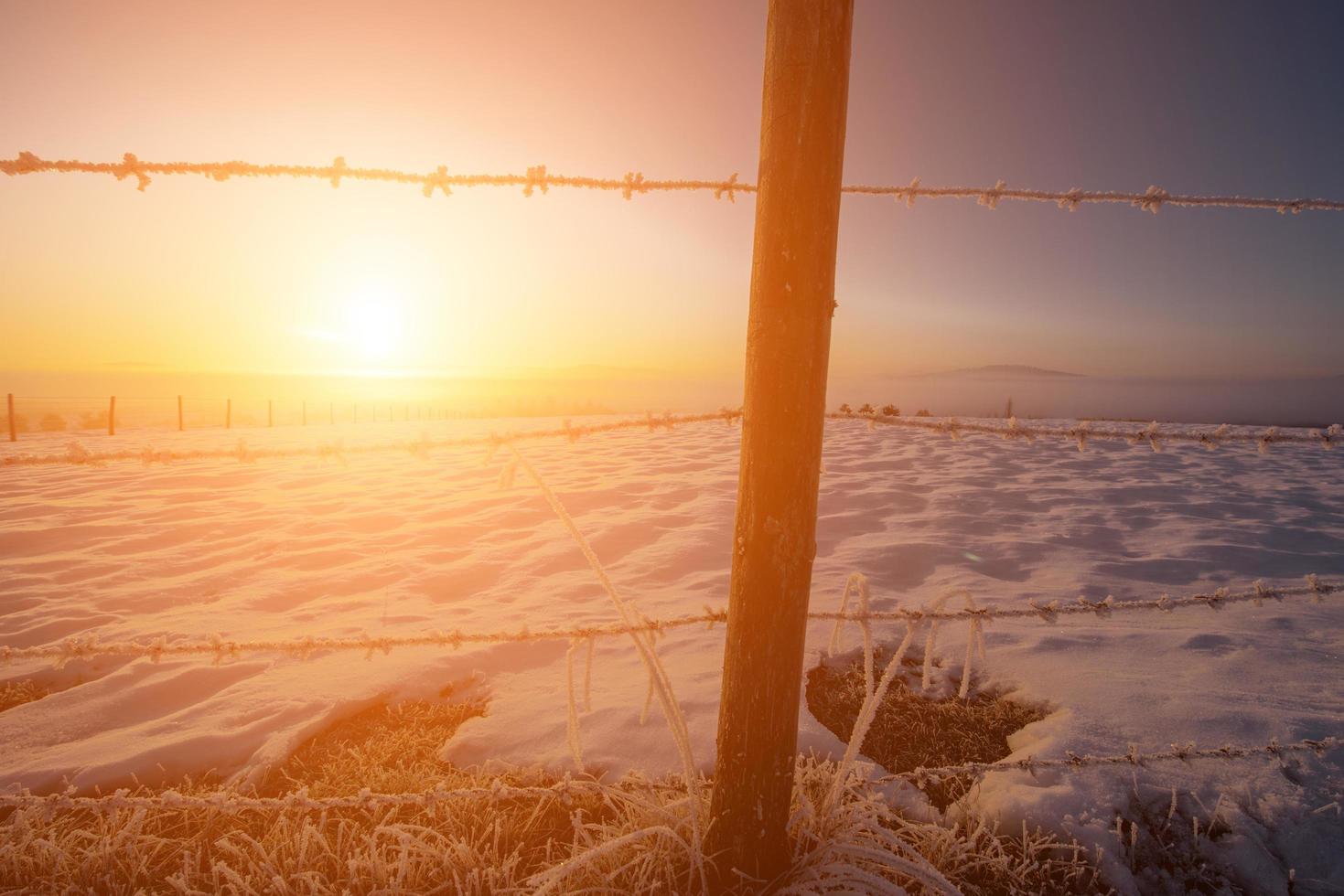 winterlandschap tijdens zonsondergang foto