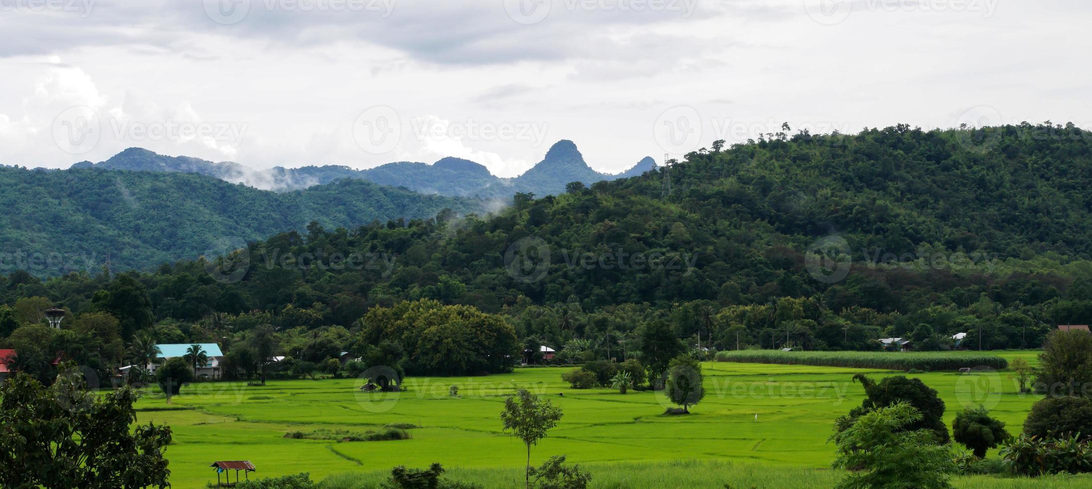 groen rijst- veld- met berg achtergrond onder bewolkt lucht na regen in regenachtig seizoen, panoramisch visie rijst- veld. foto