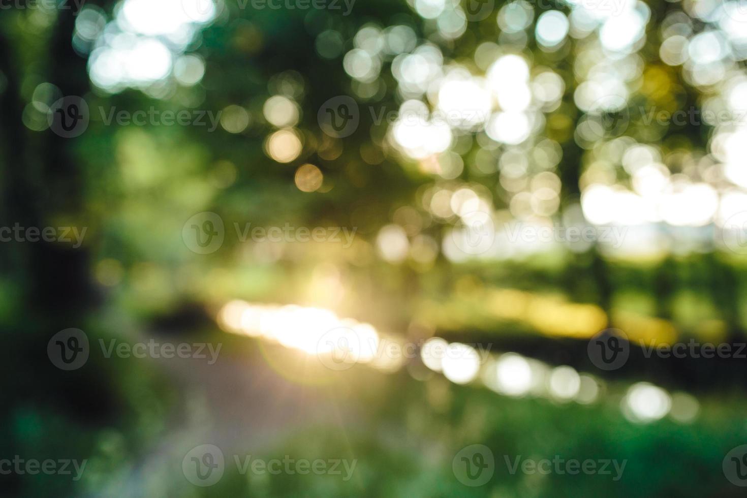 bokeh buitenshuis achtergrond foto