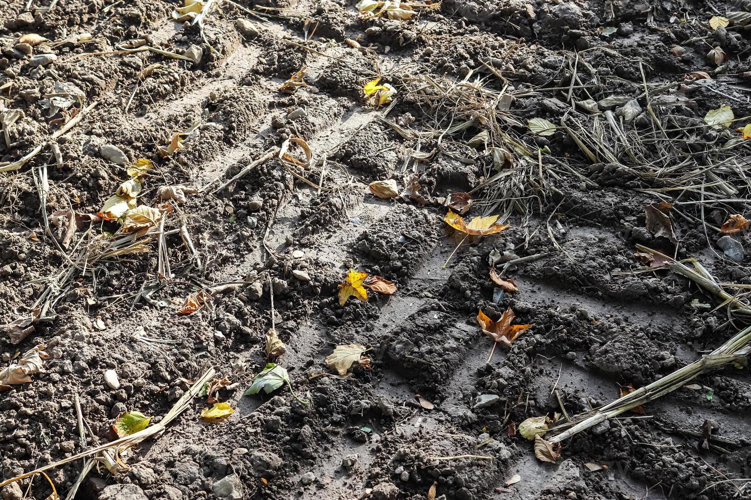 gedetailleerd dichtbij omhoog visie Aan droog agrarisch gronden en acre in hoog resolutie foto