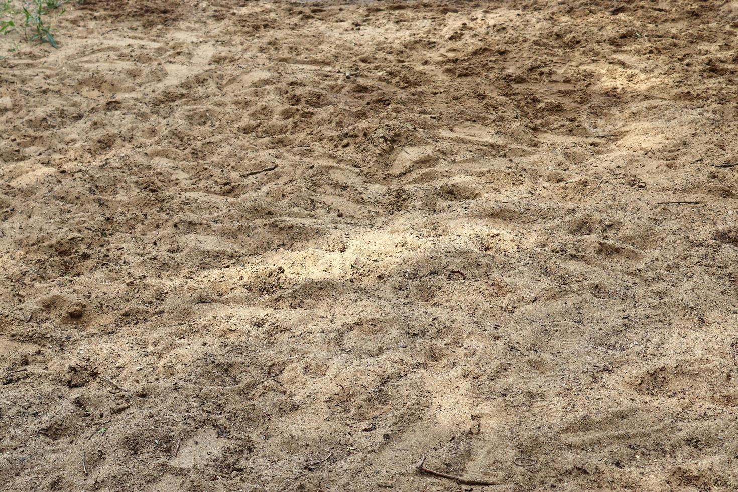 gedetailleerd dichtbij omhoog visie Aan een bruin zand grond structuur foto