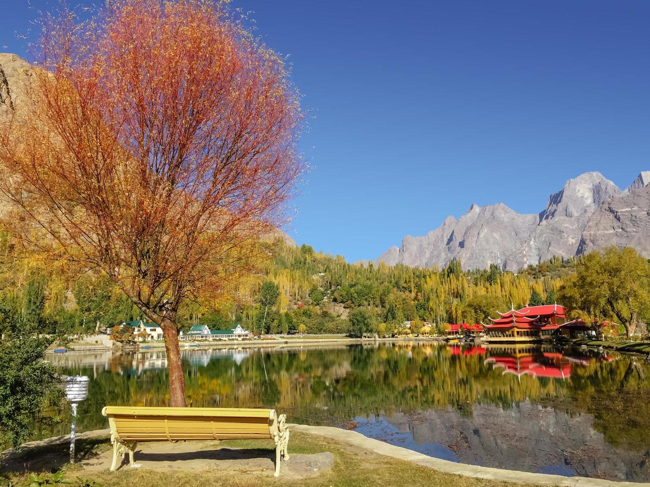 kleurrijk gebladerte in de herfst bij Kachura-meer, Pakistan foto