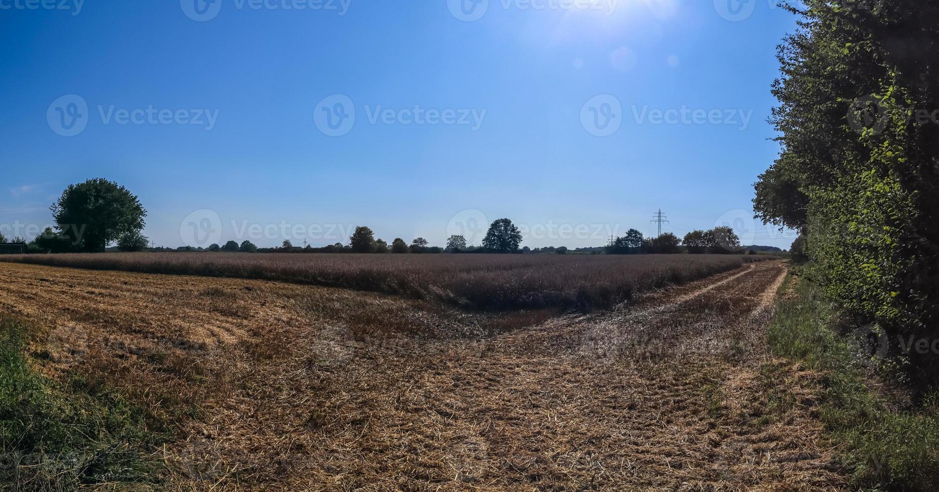prachtig panorama met hoge resolutie van een Noord-Europees landlandschap met velden en groen gras foto