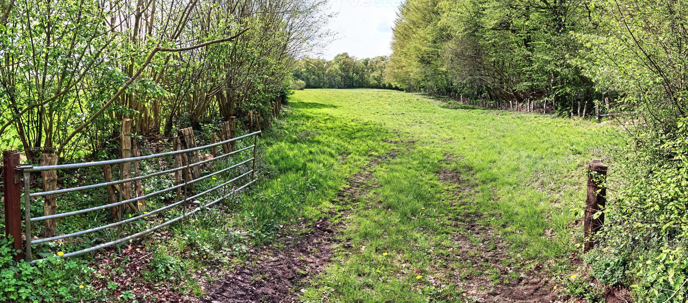 prachtig panorama met hoge resolutie van een Noord-Europees landlandschap met velden en groen gras foto