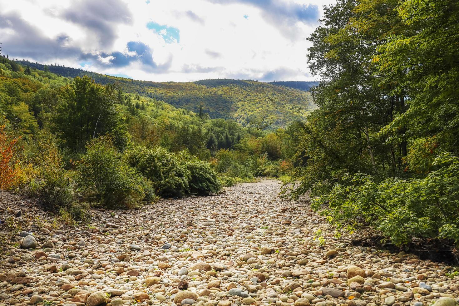 droog rivier- bed gaan door de Woud tussen bergen in de vallen foto