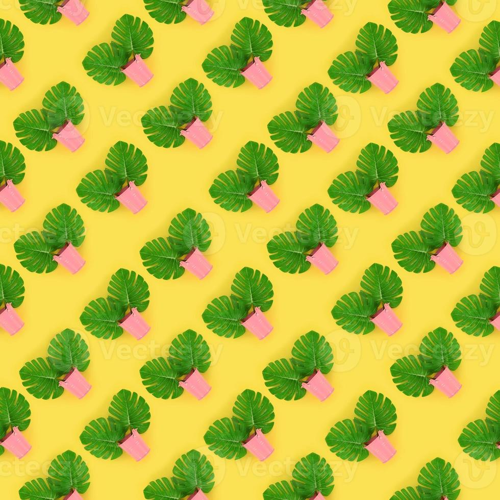 tropisch palm monstera bladeren leugens in een pastel emmers Aan een gekleurde achtergrond. vlak leggen modieus minimaal patroon. top visie foto