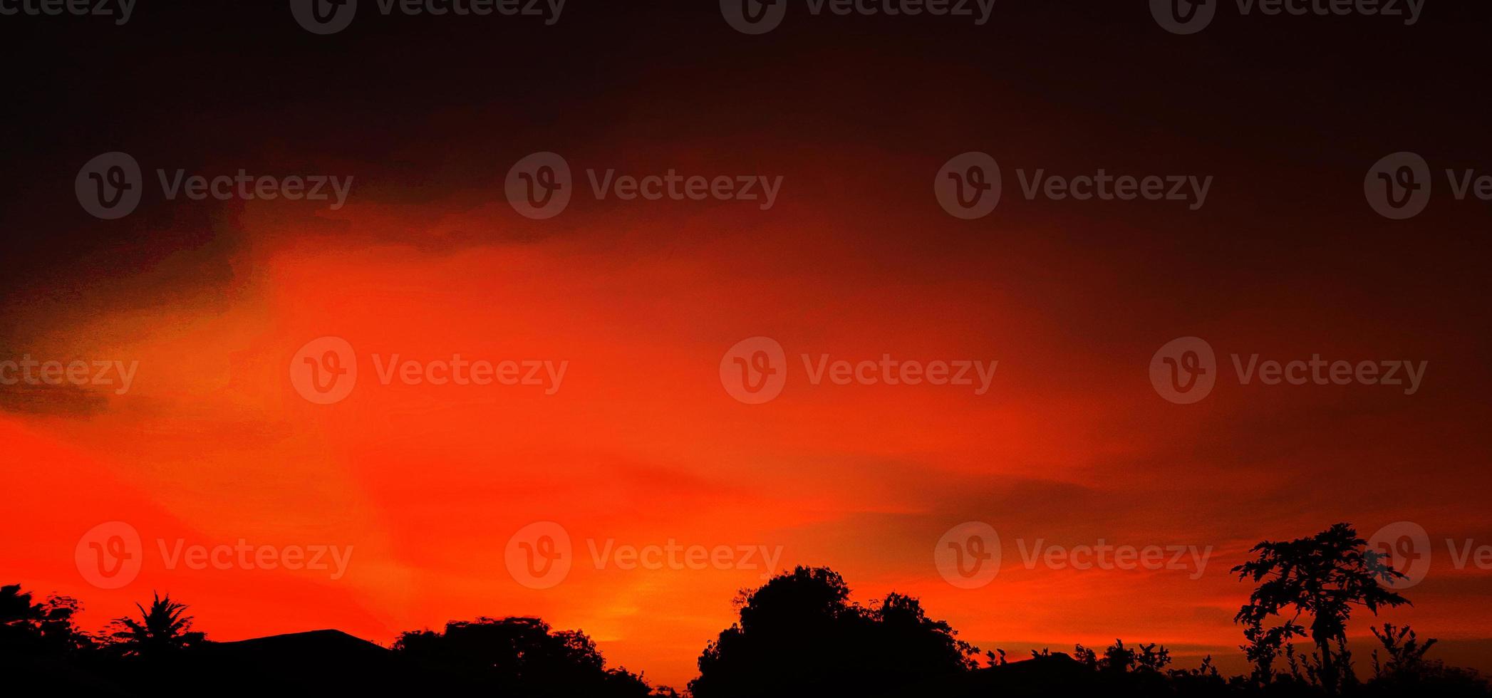 zonsondergang, oranje lucht struik boom silhouet zwarte achtergrond natuur foto