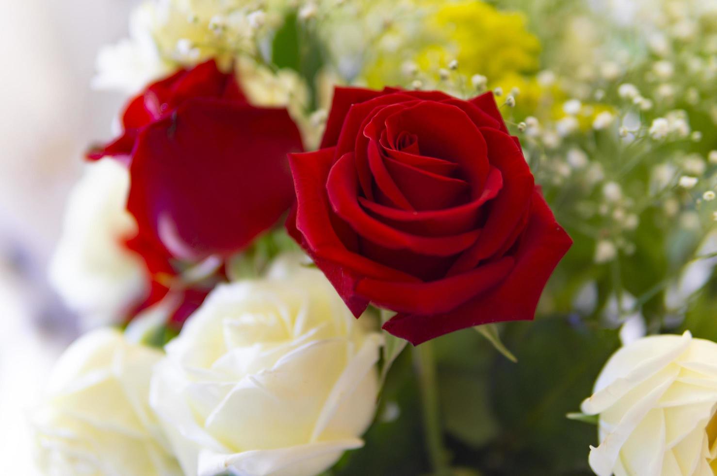 rode en witte roos bloemstuk foto