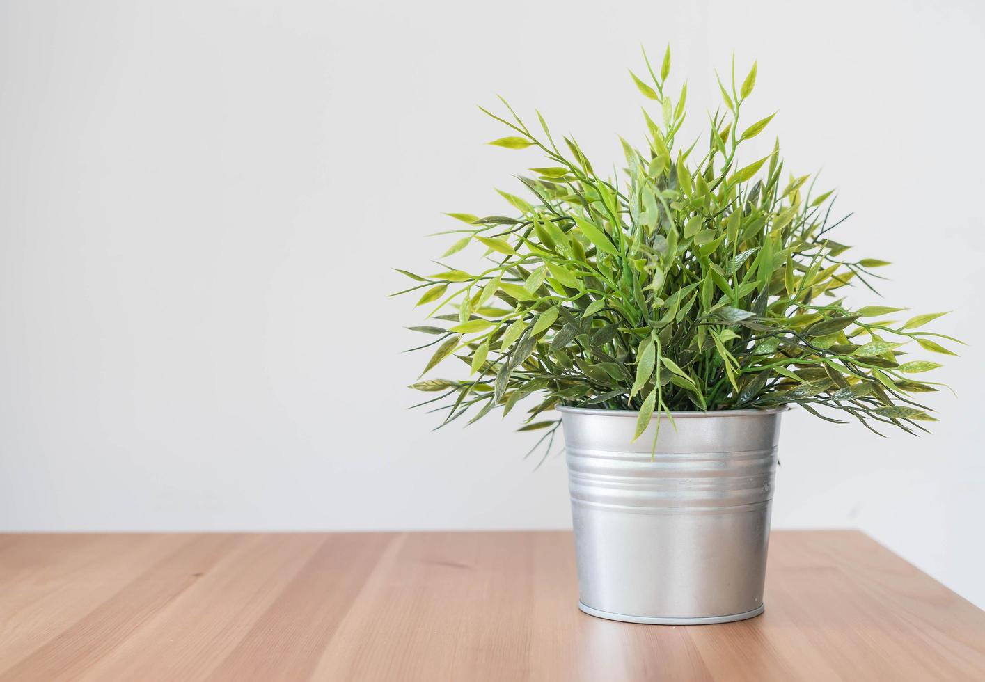 groene plant in gegalvaniseerde metalen emmer foto