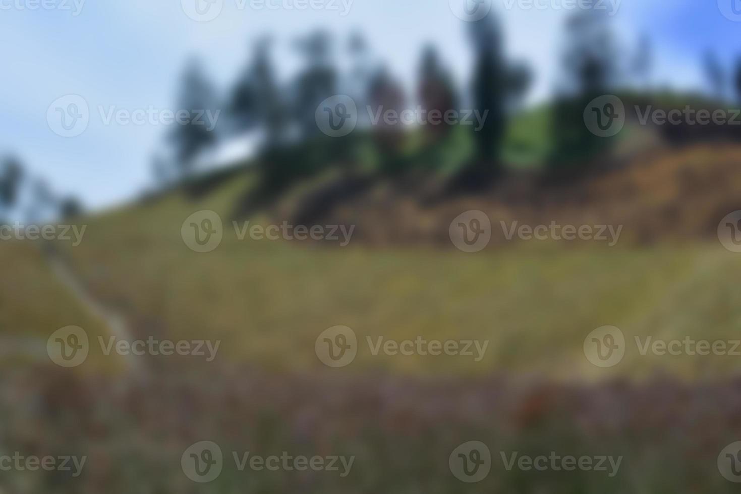 vervagen visie van weide in zomer, met een visie van droog gras. wazig achtergrond foto