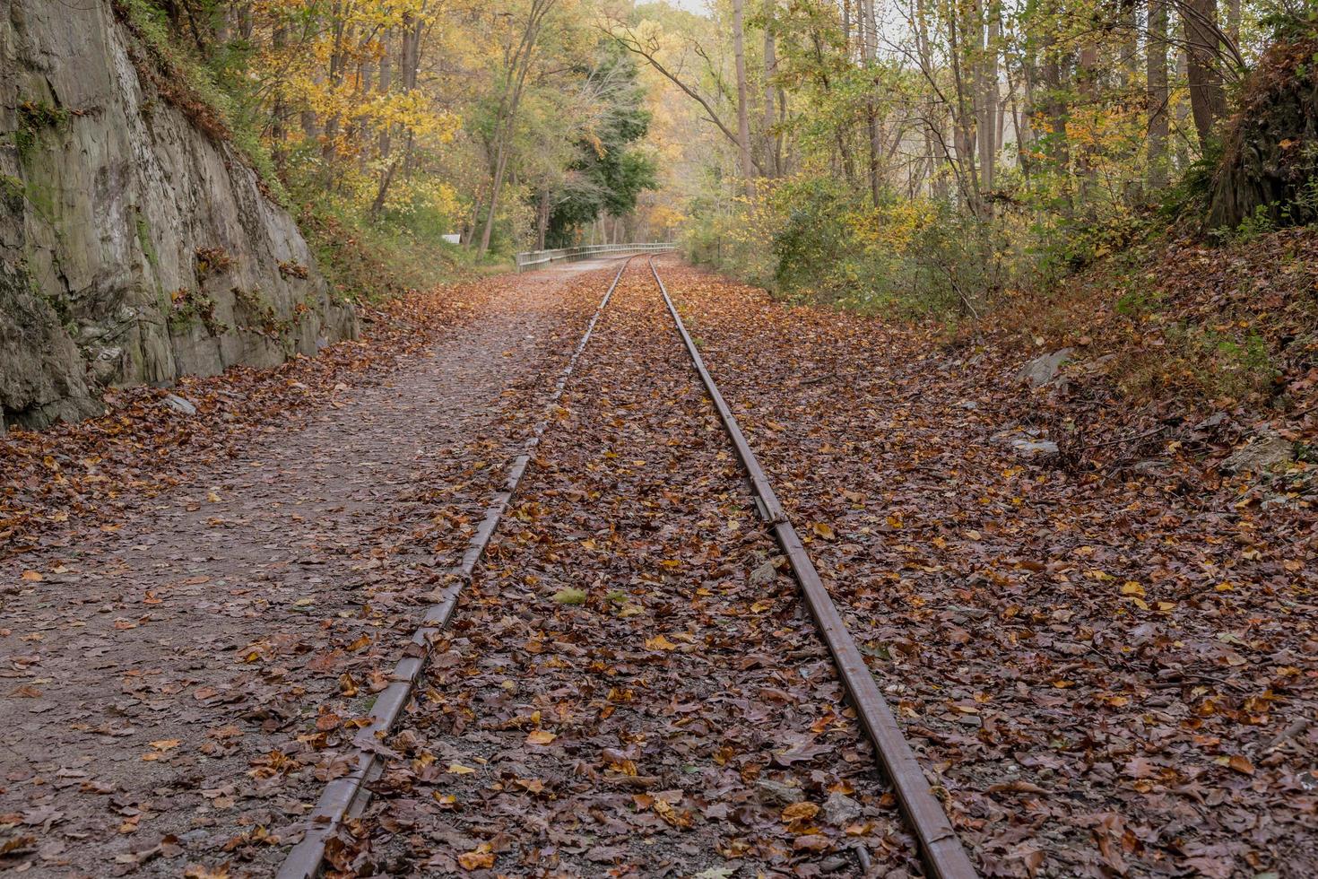 spoorrails bezaaid met gevallen bladeren foto