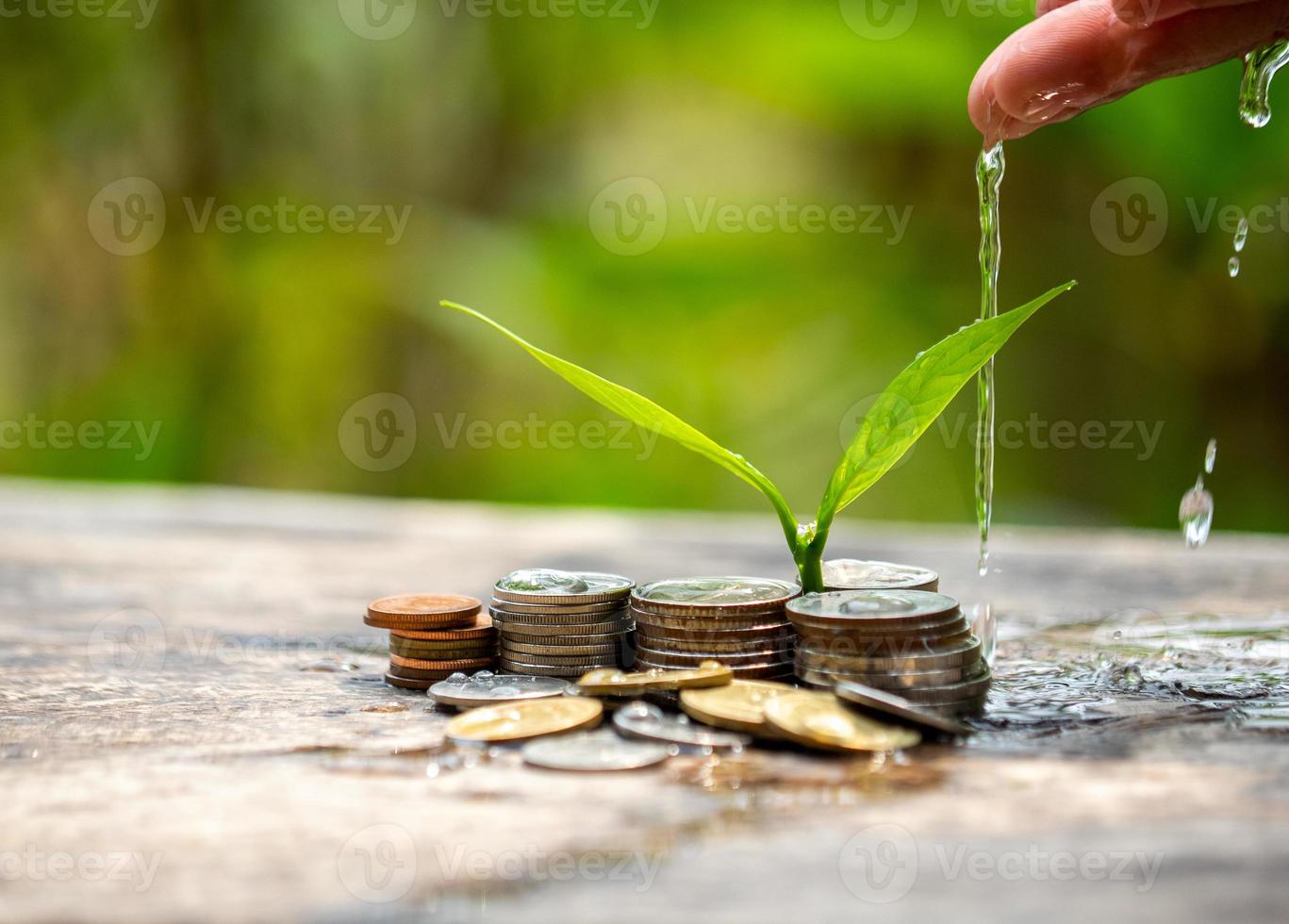 handen zijn gieter planten Aan top van munten gestapeld Aan wazig achtergronden en natuurlijk. foto