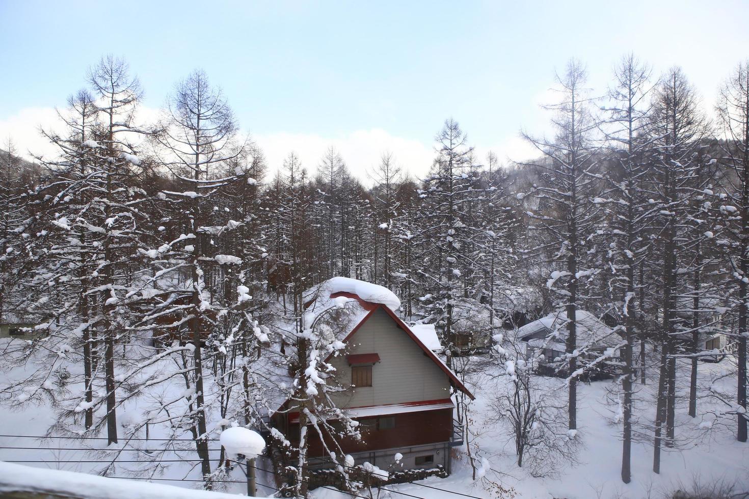 besneeuwde huizen foto