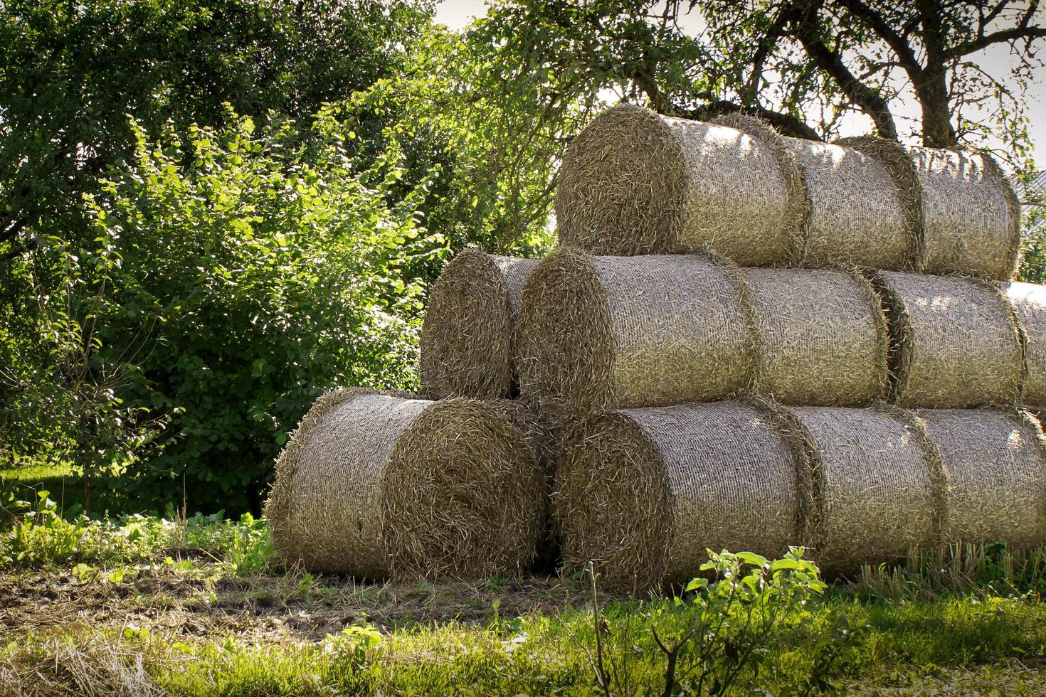 ronde klein stapels van rietje zijn gestapeld Aan top van elk andere en het formulier een groot stack dat is in de tuin foto