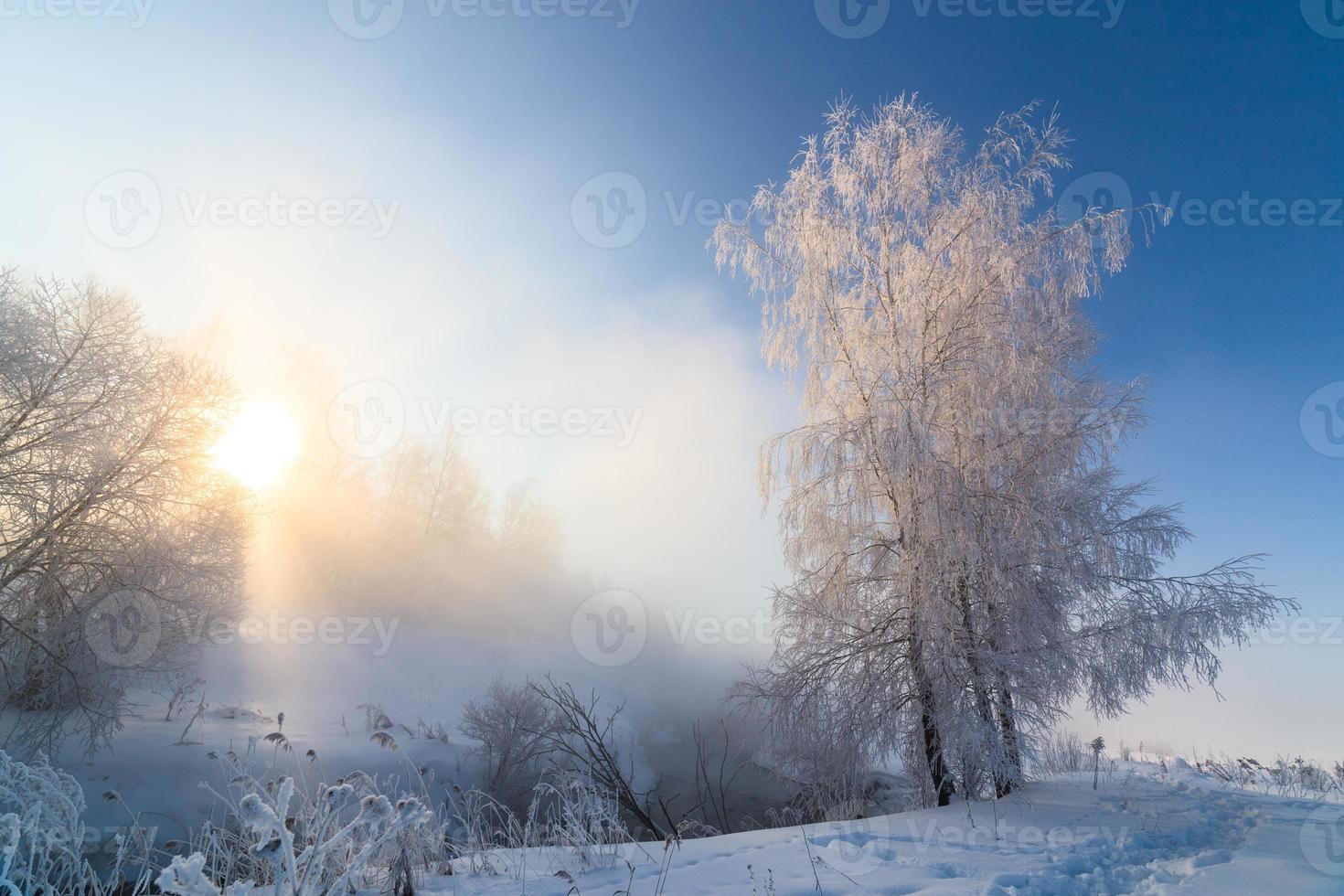 mistig winter rivieroever Bij ochtend- met zon schijnen tussen berk bomen - horizontaal kader foto