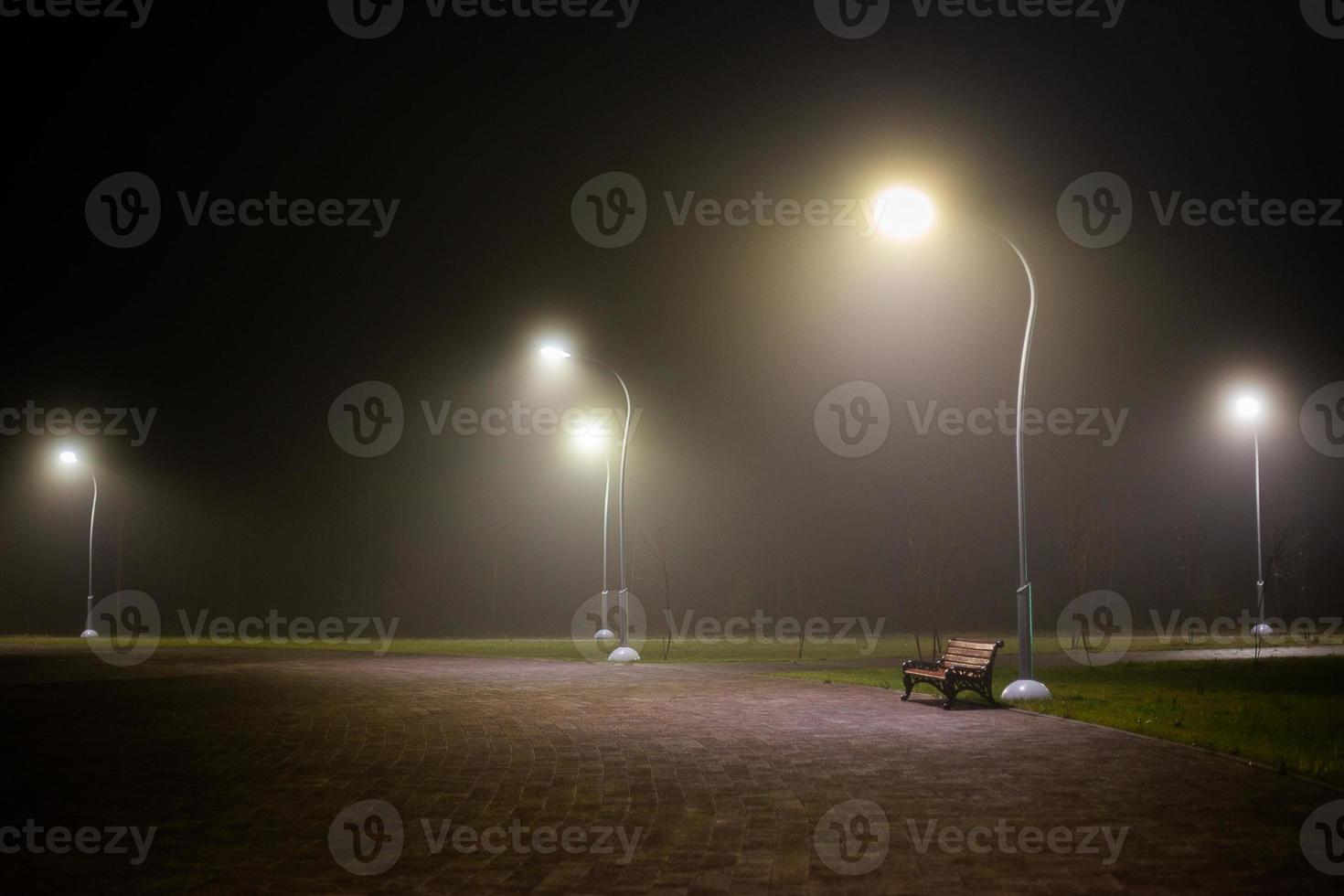 bank in nacht nevelig park met hoog lichten en selectief focus foto