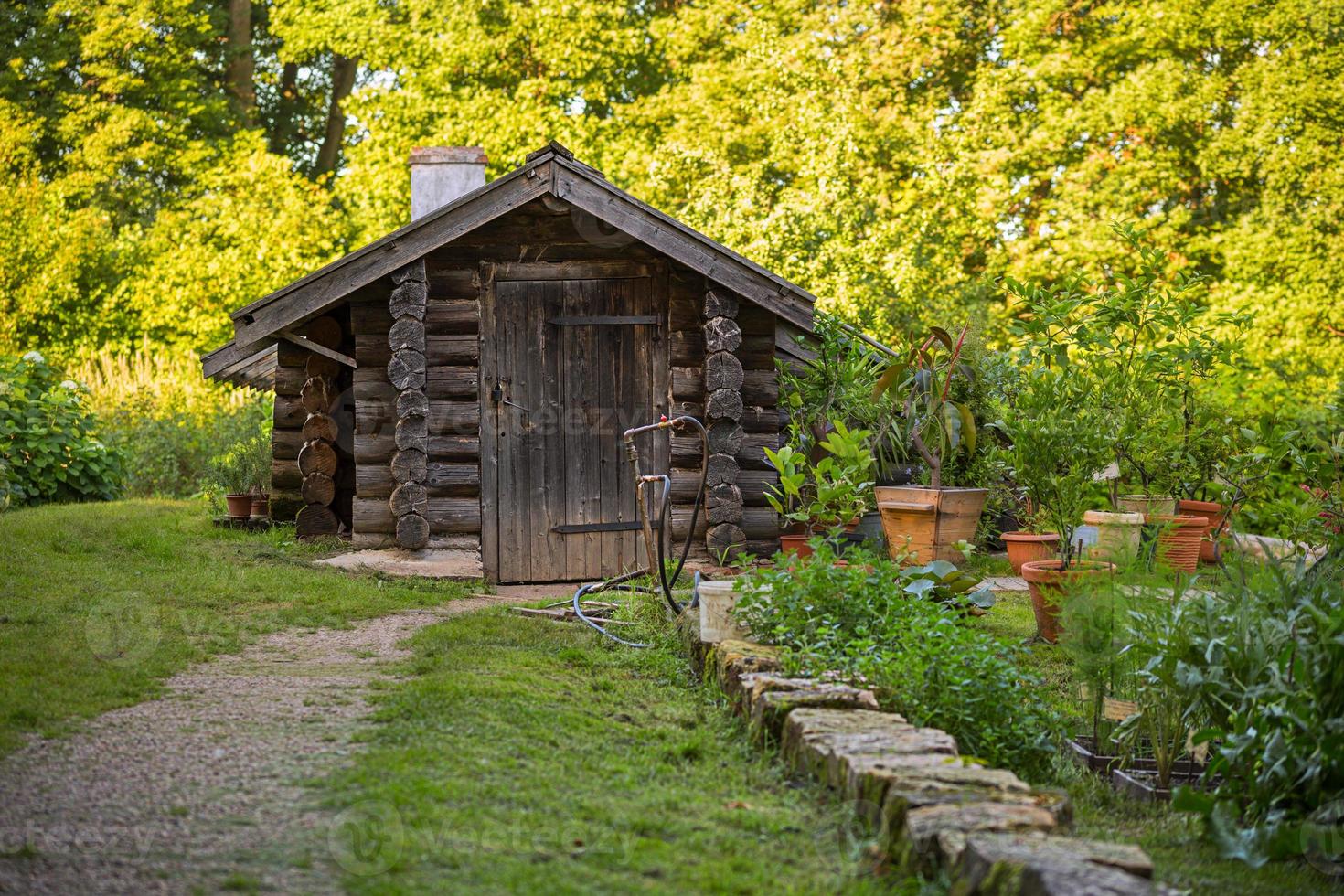 wazige tuin achtergrond foto