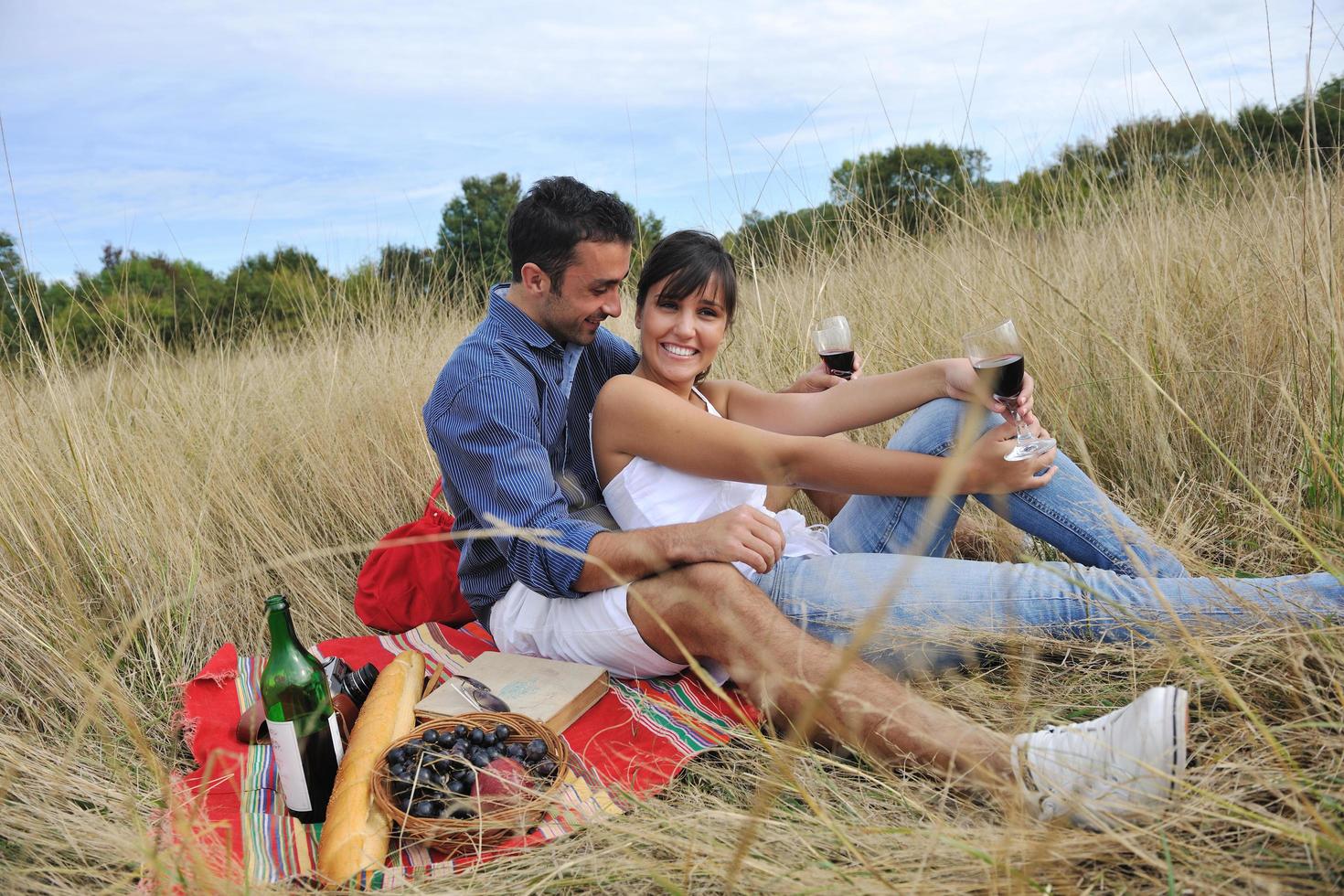 gelukkig paar genieten van platteland picknick in lang gras foto