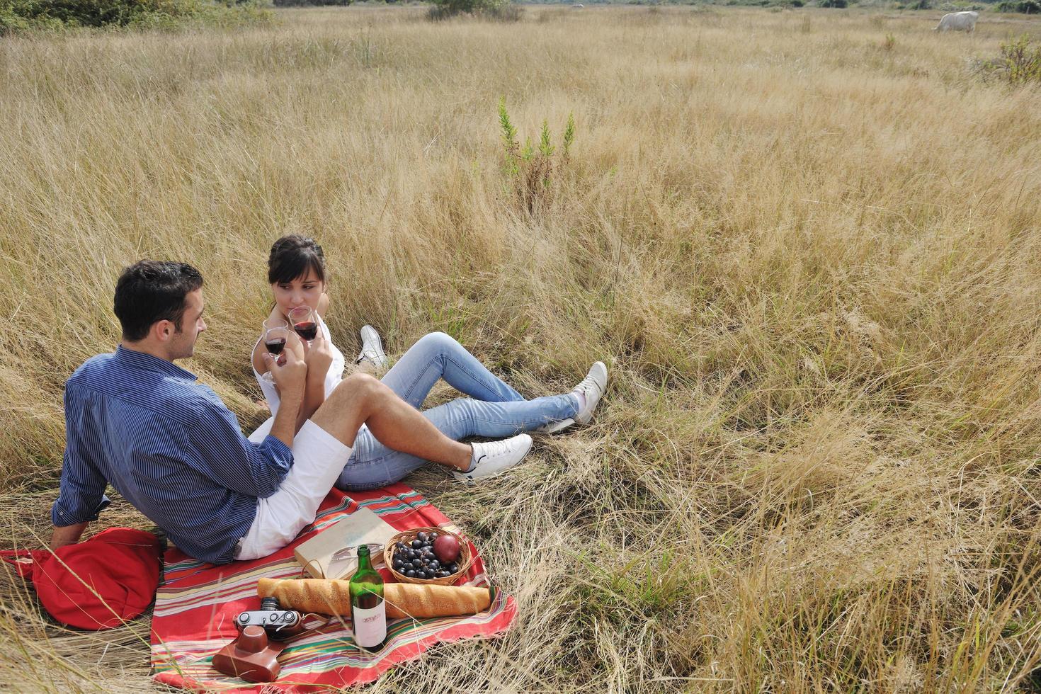 gelukkig paar genieten van platteland picknick in lang gras foto