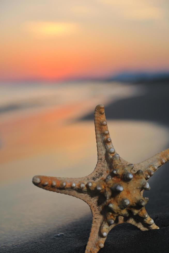 zomer strand zonsondergang met ster Aan strand foto