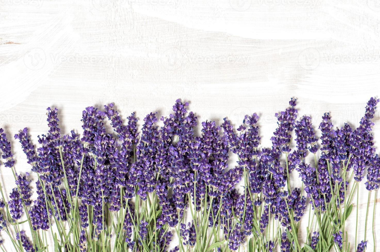 lavendel bloemen op witte houten textuur achtergrond foto