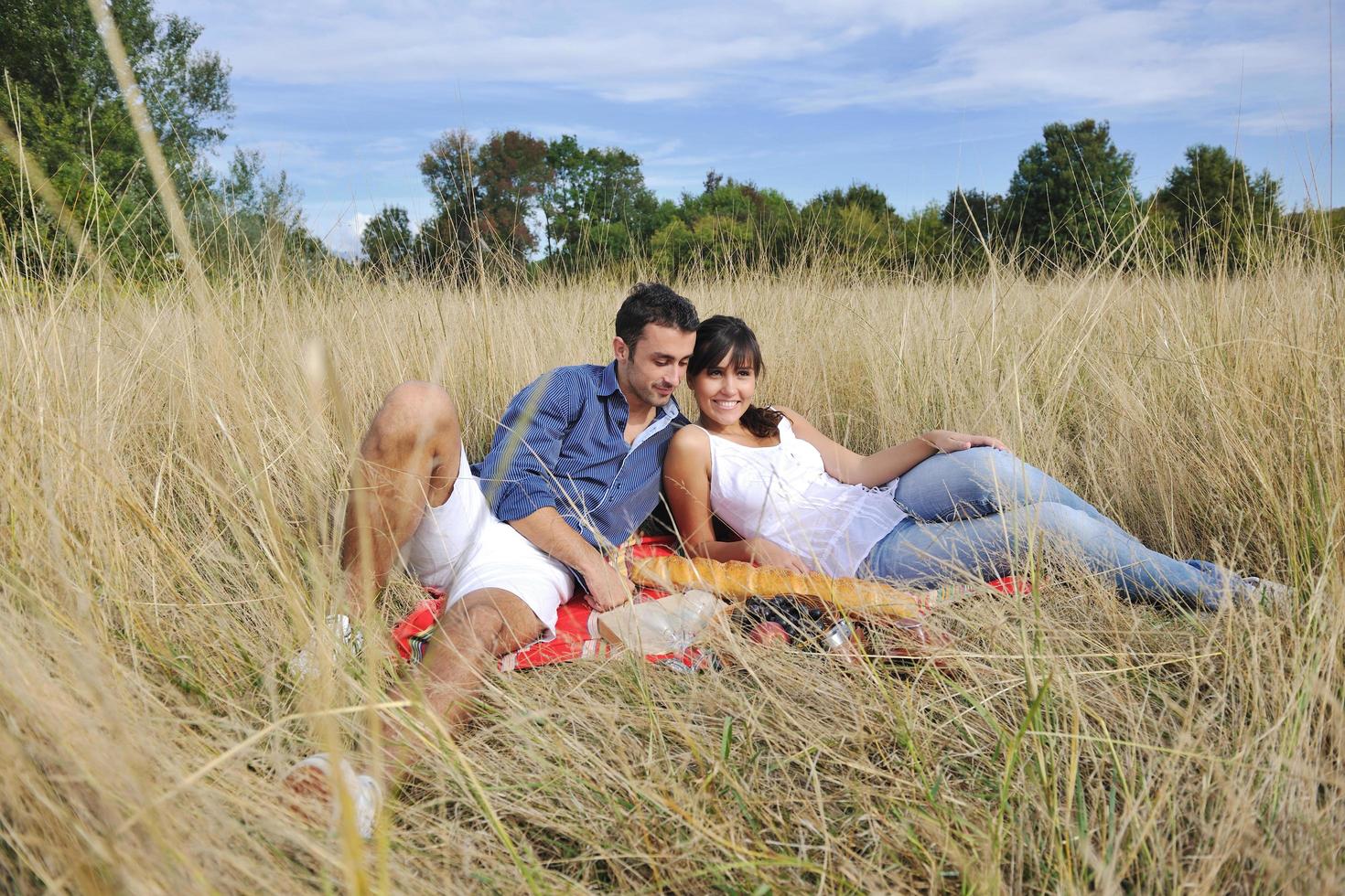 gelukkig paar genieten van platteland picknick in lang gras foto