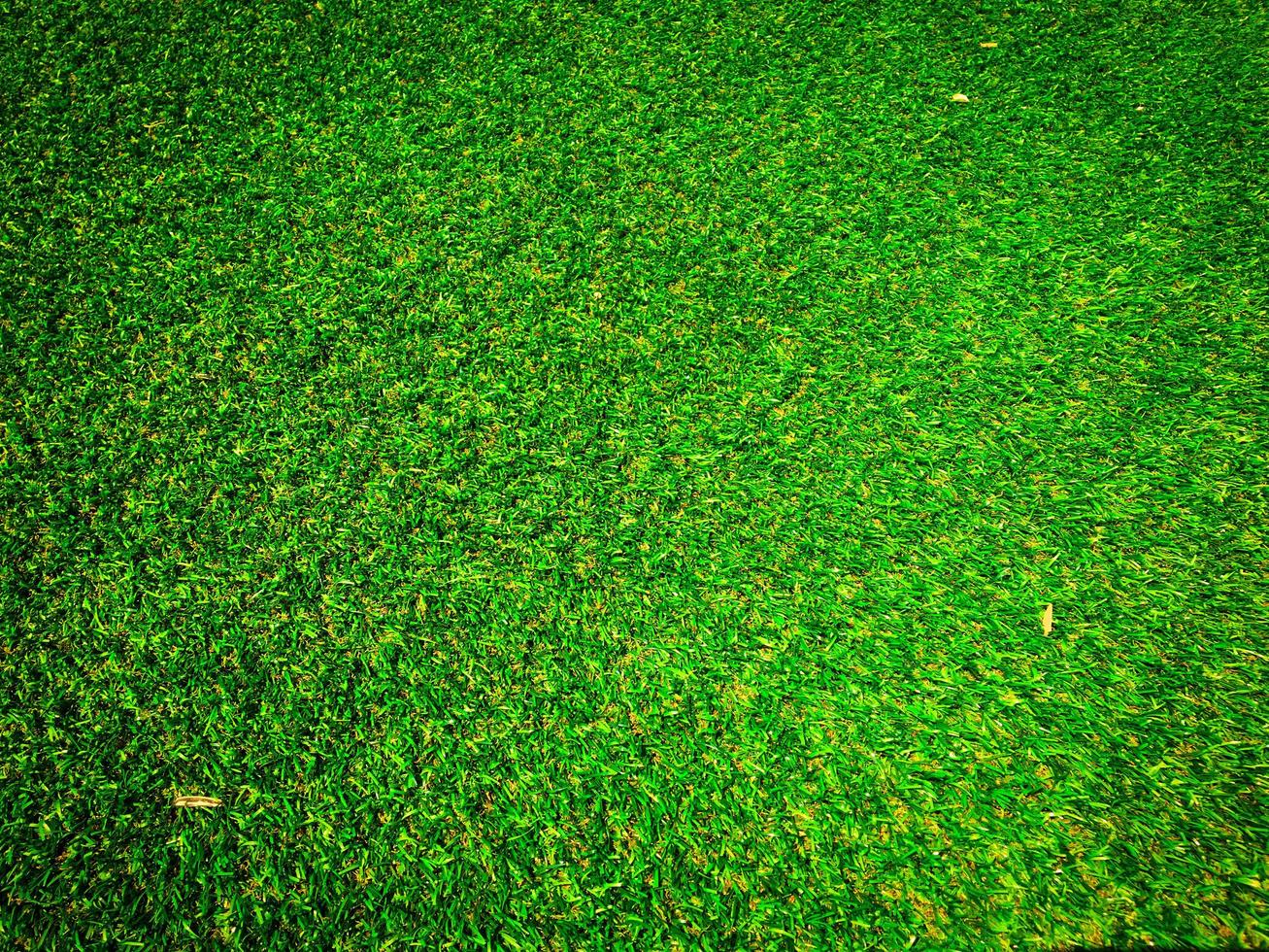 top visie van groen gras structuur achtergrond. element van ontwerp. foto