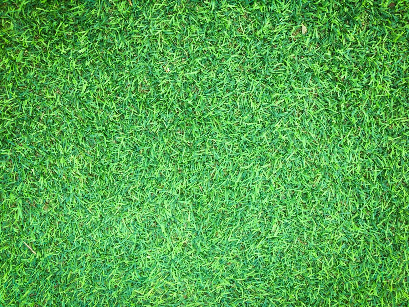 detailopname visie van groen gras voetbal veld- achtergrond. behang voor werk en ontwerp. foto