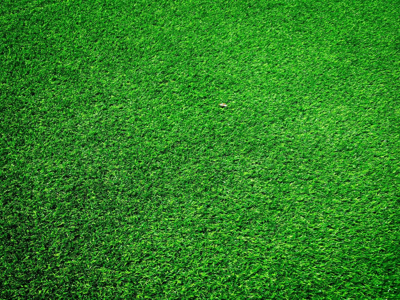 natuur groen gras structuur achtergrond voor ontwerp. eco concept. foto
