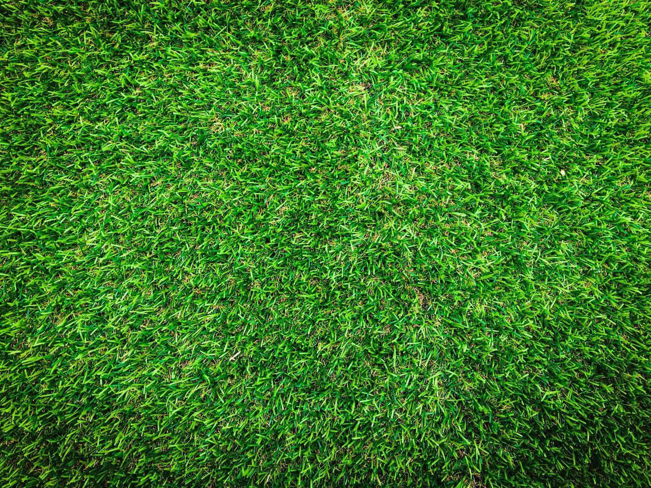 natuur groen gras structuur achtergrond voor ontwerp. eco concept. foto