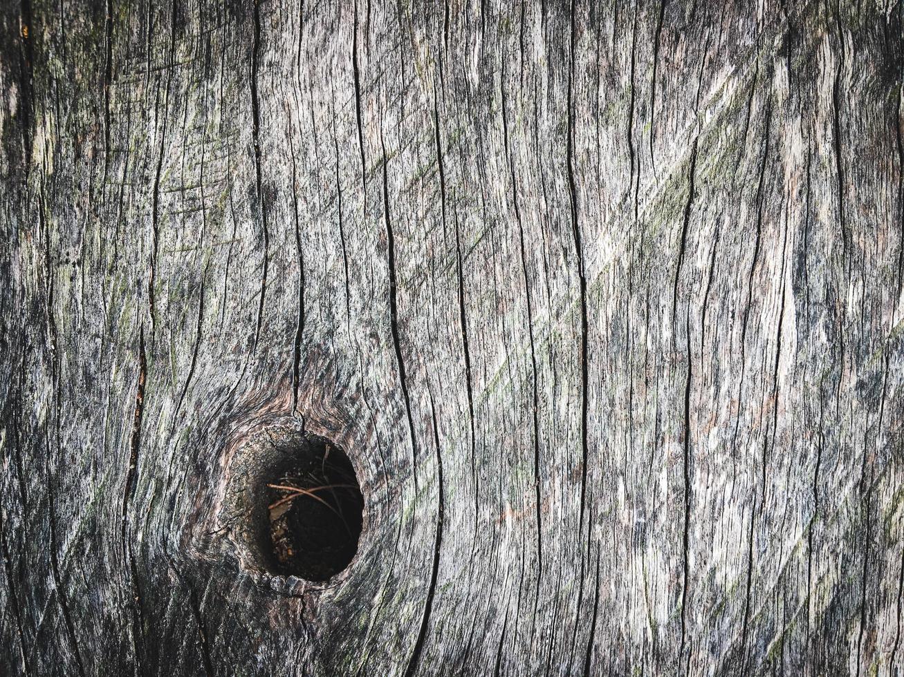 hout structuur muur ruimte achtergrond voor ontwerp foto