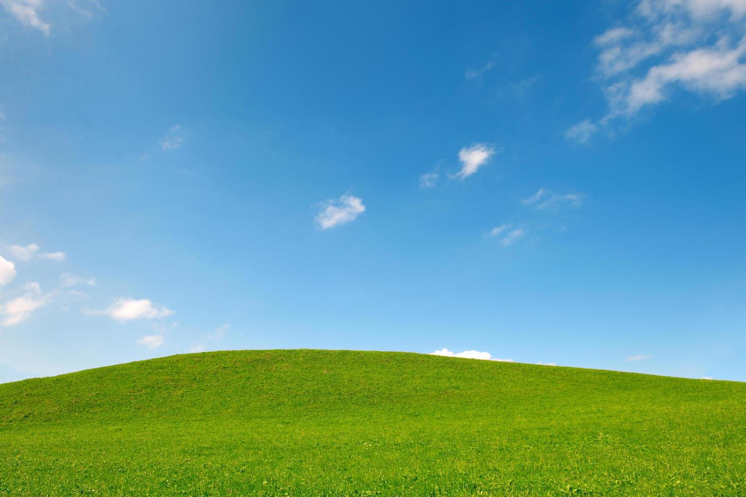 veld- van gras en blauw lucht foto