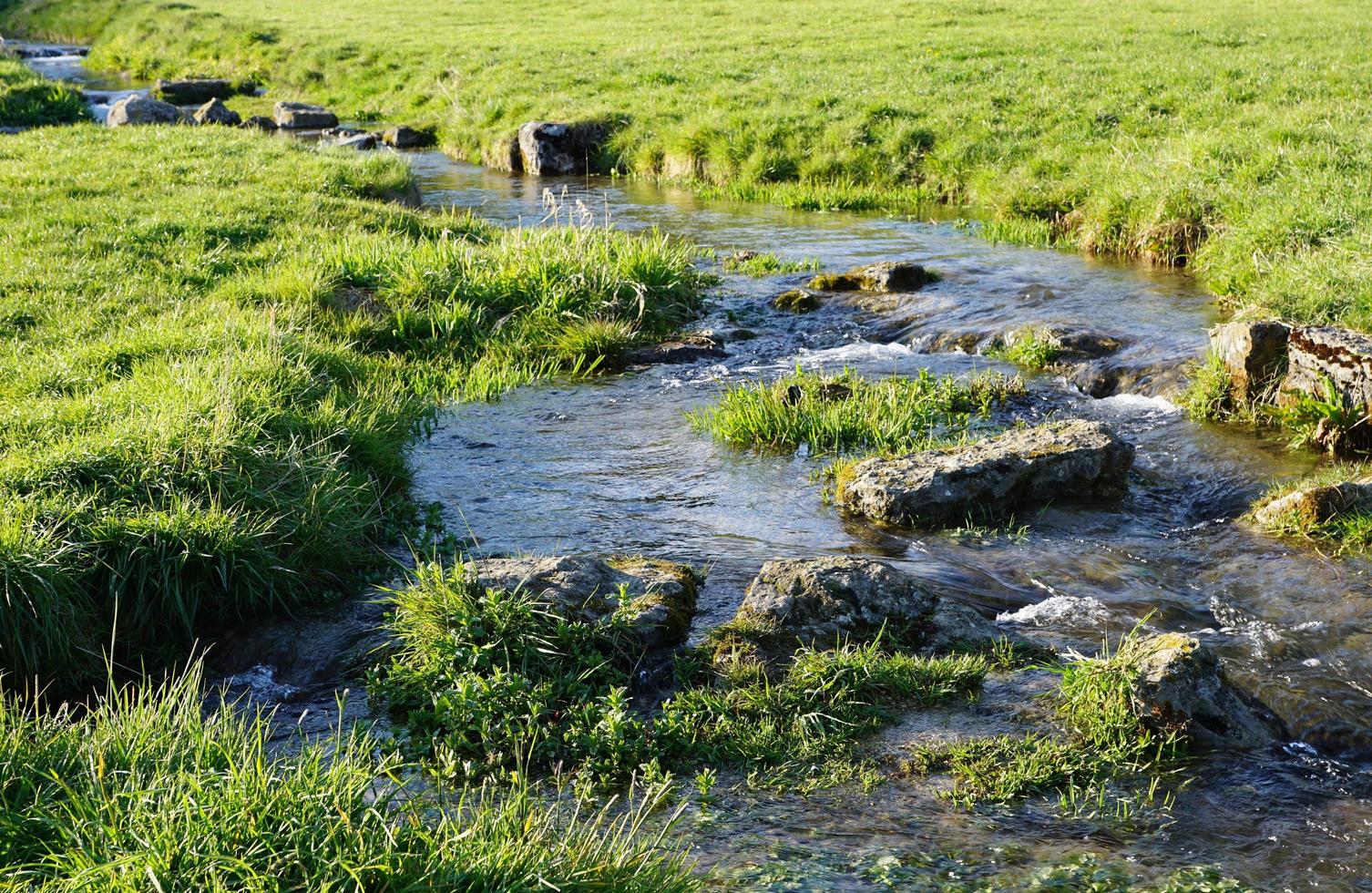 rivier de Donau bij tuttlingen foto