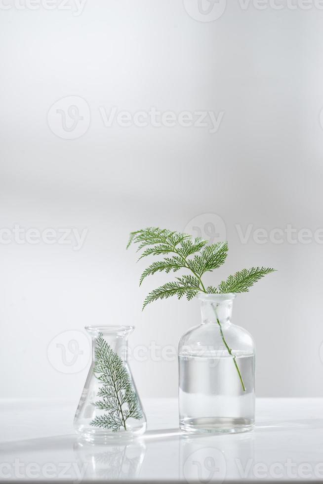 Doorzichtig water in glas fles en flacon met natuurlijk groen vertrekken in biotechnologie wetenschap laboratorium achtergrond foto