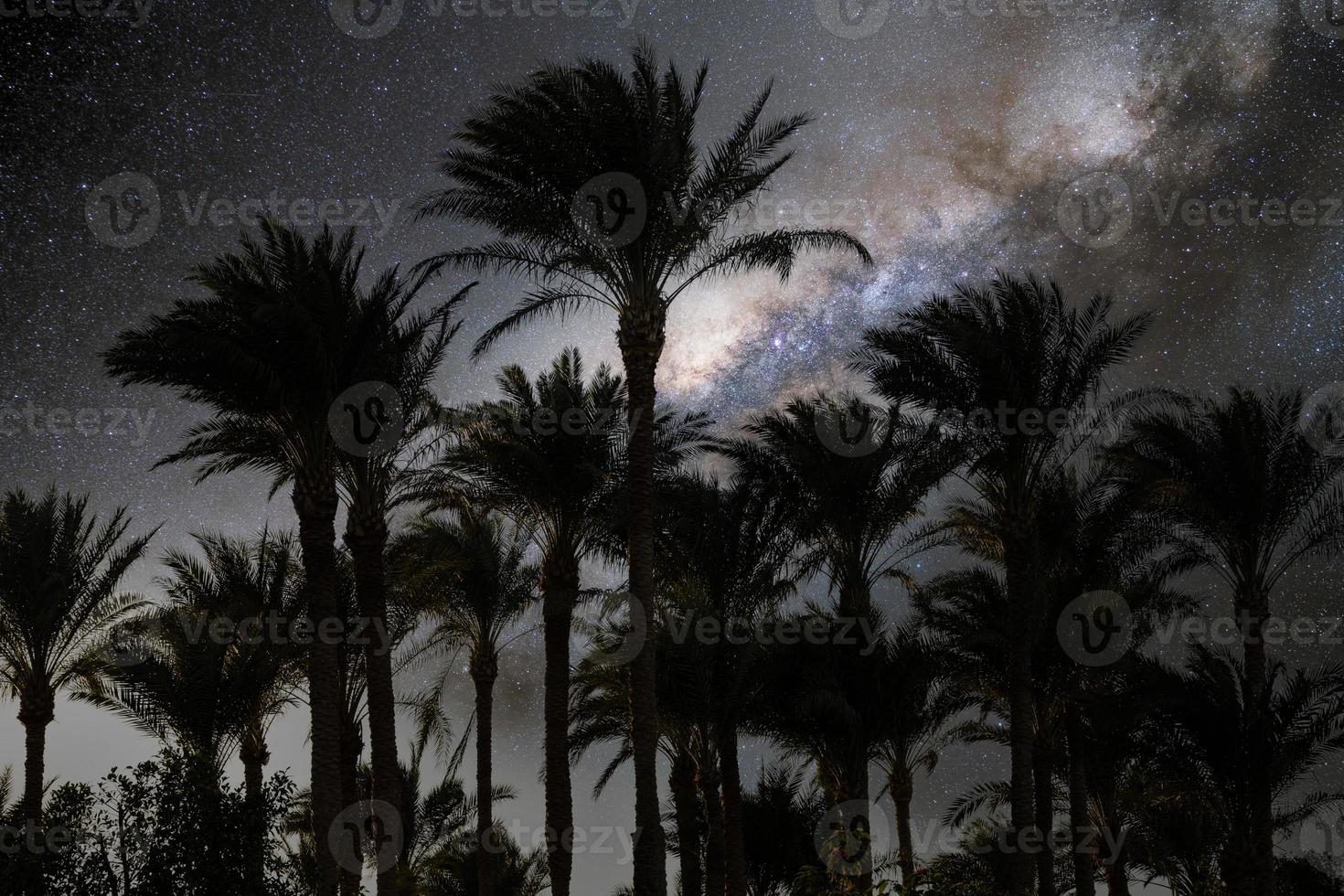 nacht landschap, palm bomen, de rood zee tegen de achtergrond van de nacht lucht met sterren en de melkachtig manier. sinai schiereiland. foto