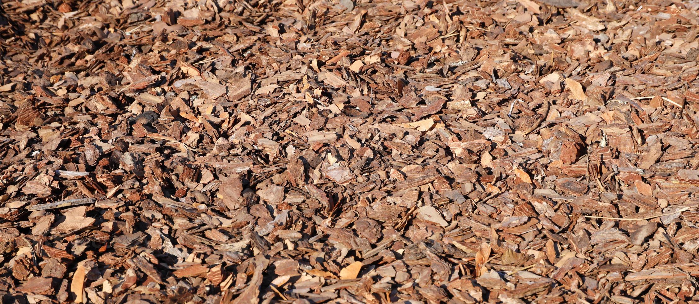 vol kader detailopname van bruin hakselhout gebruikt voor tuinieren en landschap decoratie. structuur van berk hakselhout schors voor tuin. detailopname van hout spaander pad aan het bedekken foto