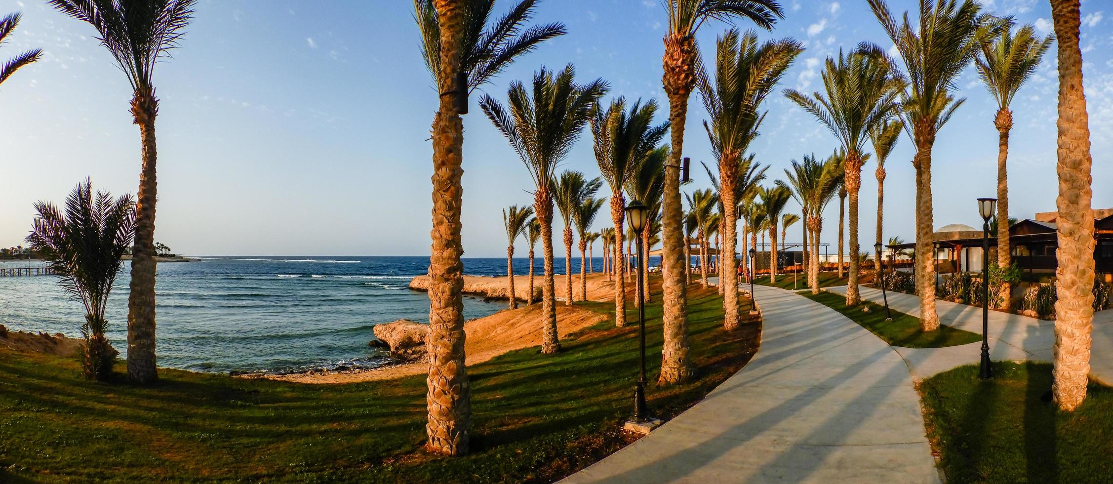 verbazingwekkend strand met gras palm bomen en een pad naar wandelen in de zonsondergang Aan vakantie in Egypte panorama foto