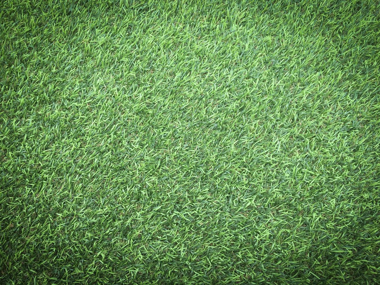 detailopname visie van groen gras voetbal veld- achtergrond. behang voor werk en ontwerp. foto