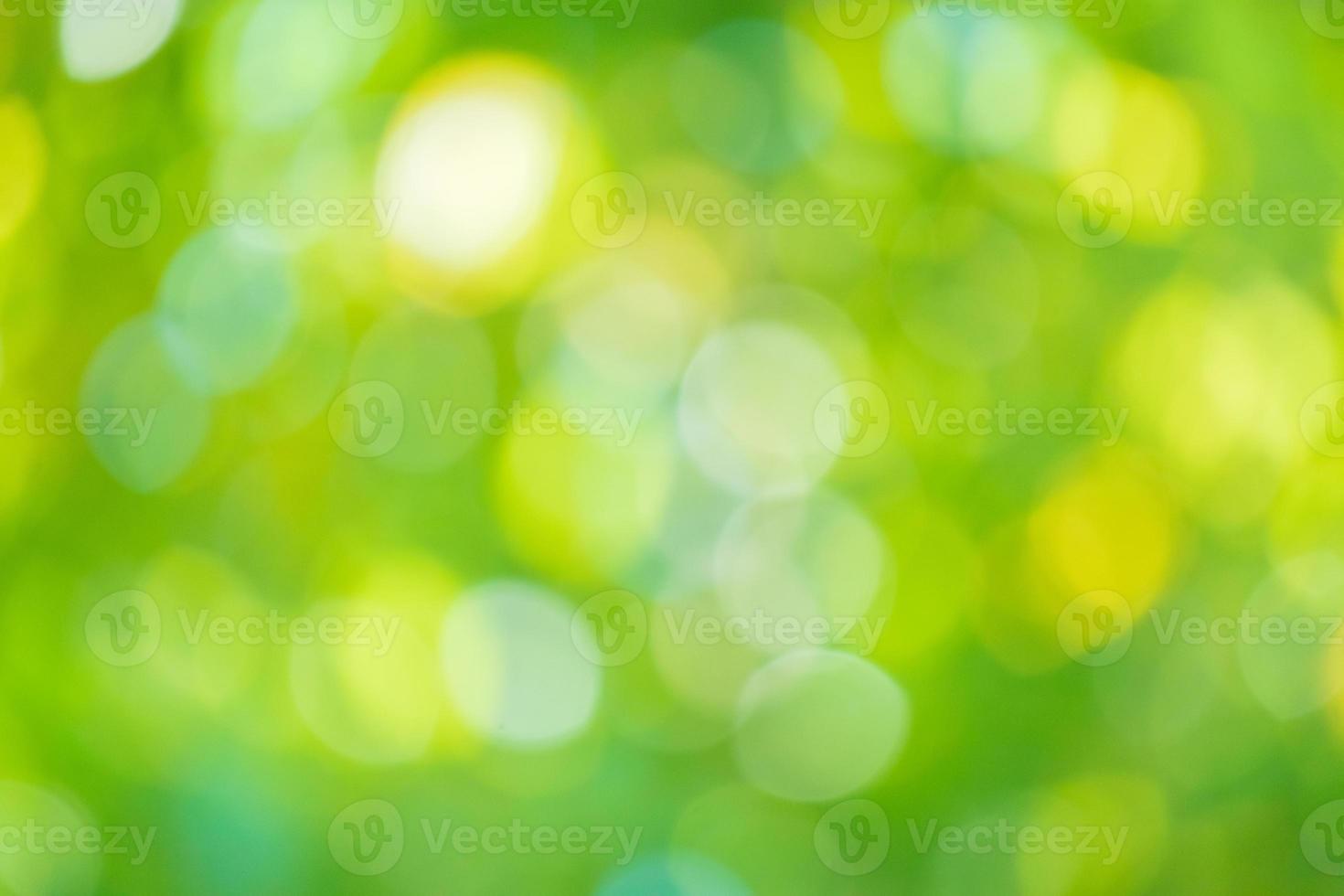 abstract vervagen groen blad bokeh natuur achtergrond foto