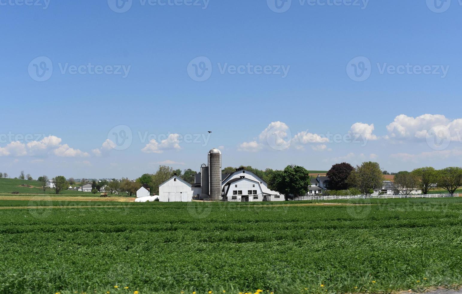 veld- met veel van vegetatie en wit schuren en silo's foto