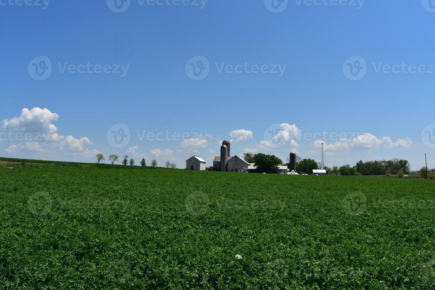 mooi boerderij met weelderig groen velden Aan een voorjaar dag foto